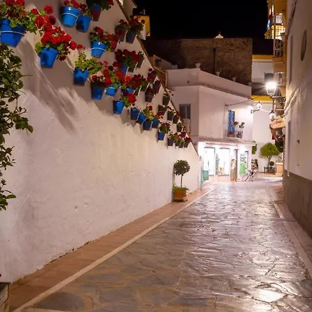 Banus - Centre Soriano *