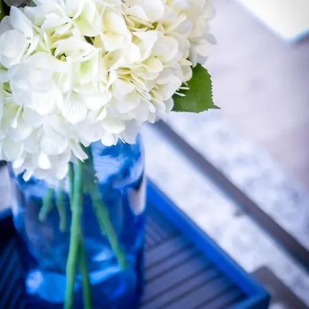 Apartment Banus - Centre Soriano