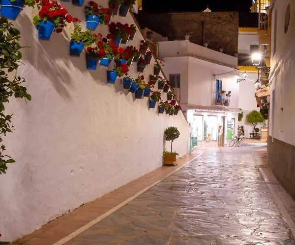 Banus - Centre Soriano *